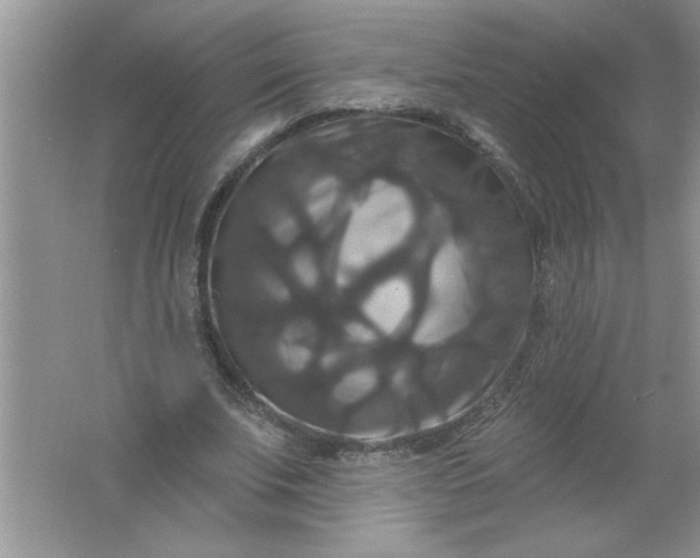 X0000061750679200512161717