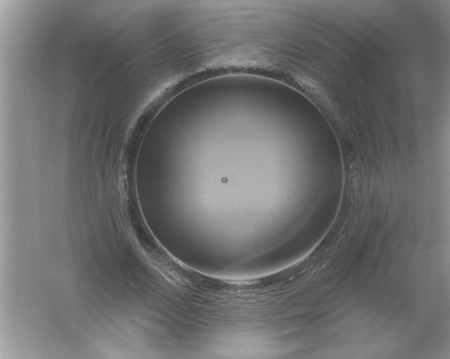 X0000061750680200512161717