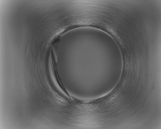 X0000061750681200512161717