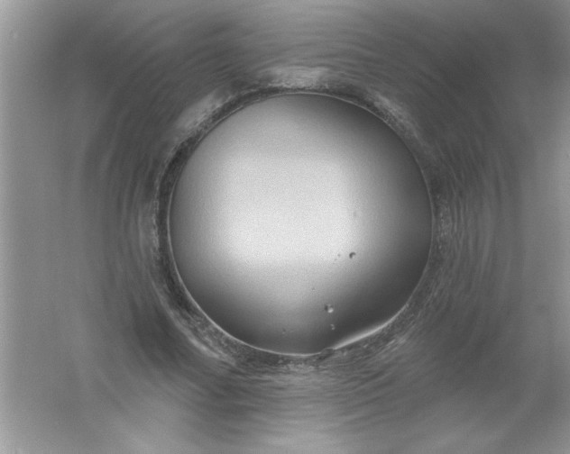 X0000061750682200512161717