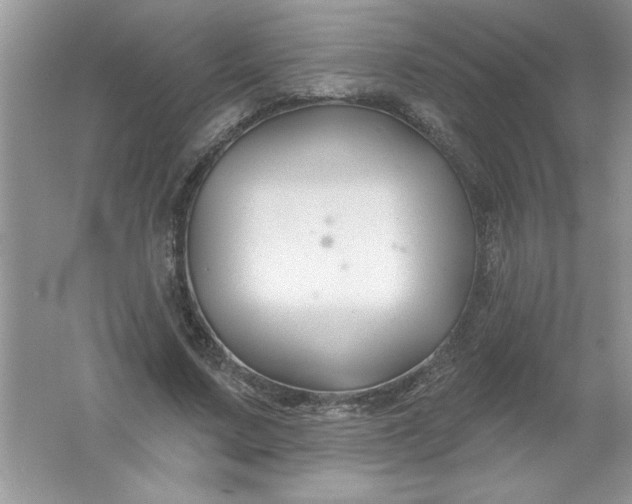 X0000061750683200512161717