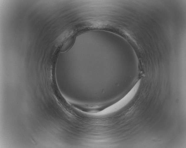 X0000061750685200512161717