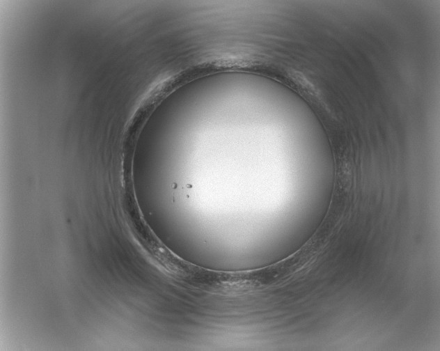 X0000061750686200512161717