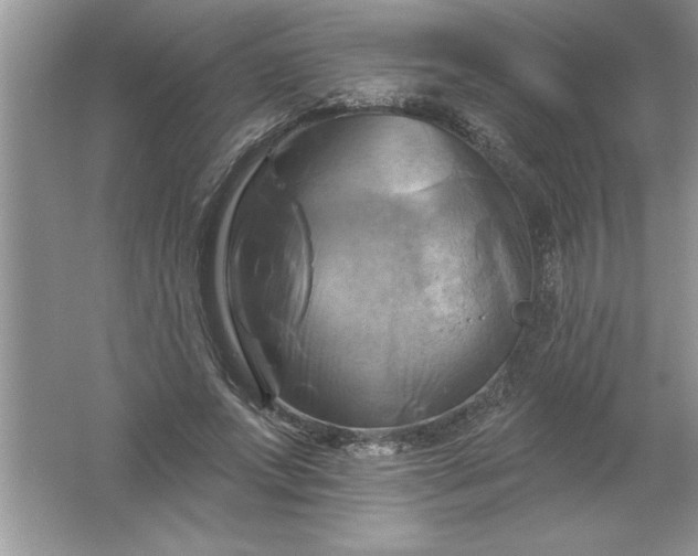 X0000061750687200512161717