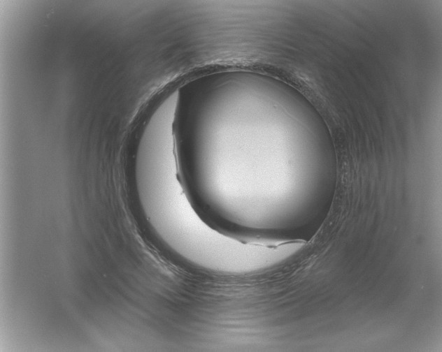 X0000061750688200512161717