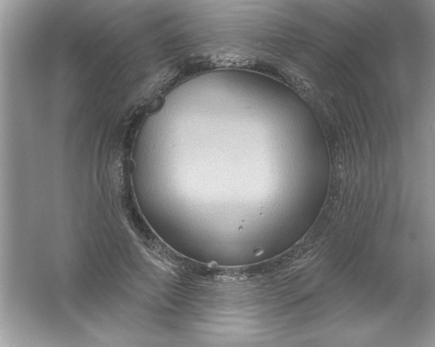 X0000061750690200512161717