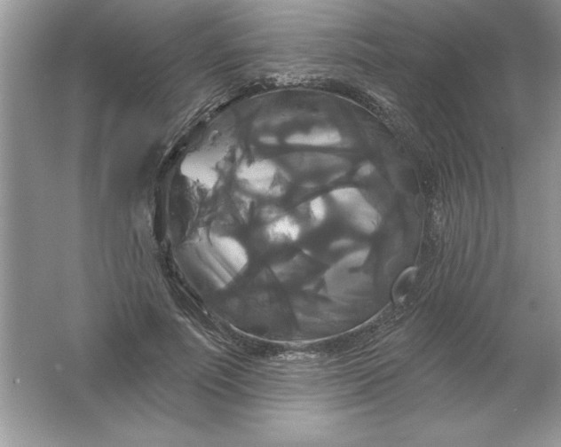 X0000061750691200512161717