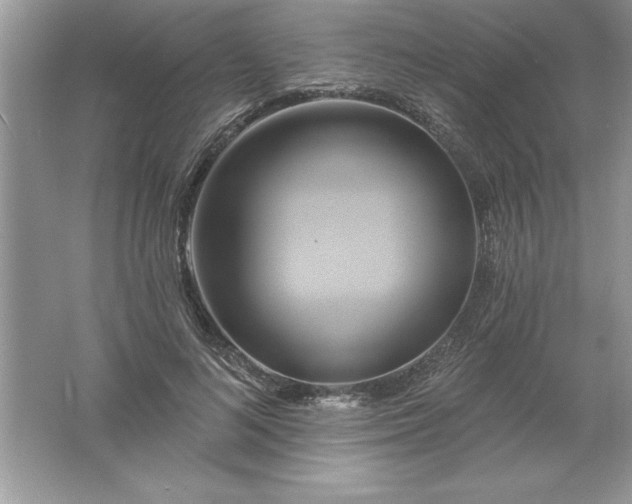 X0000061750692200512161717