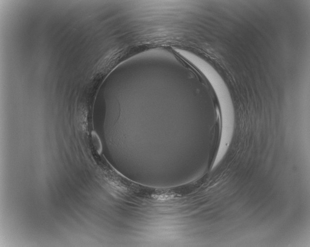 X0000061750693200512161717