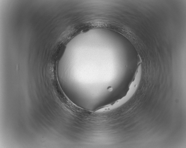 X0000061750696200512161717