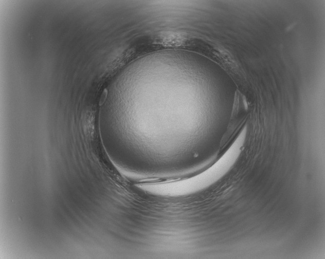 X0000061750697200512161717