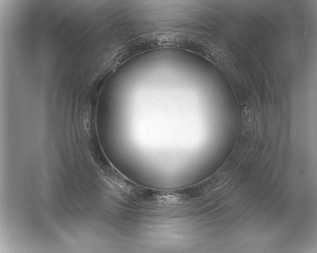 X0000061750698200512161717