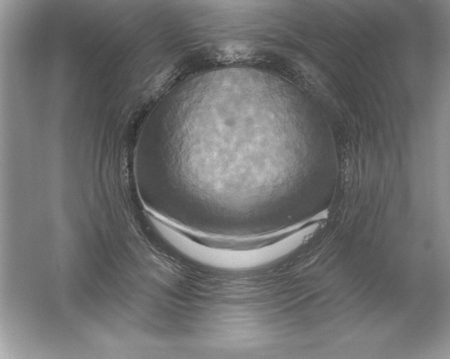 X0000061750700200512161717