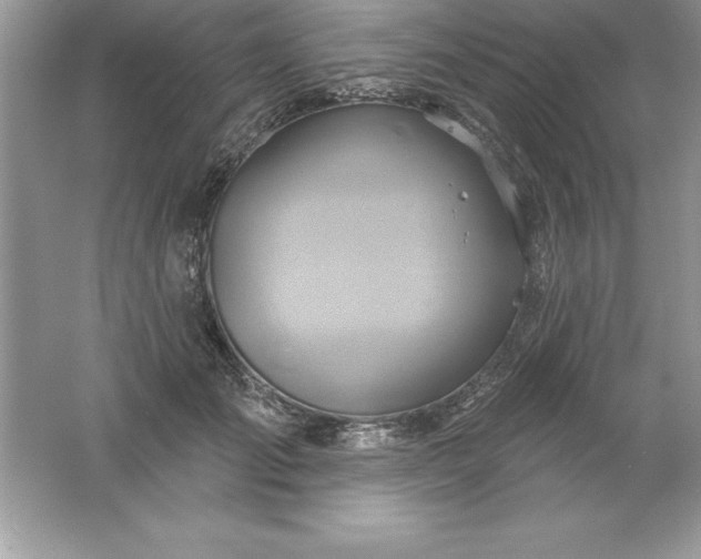 X0000061750701200512161717