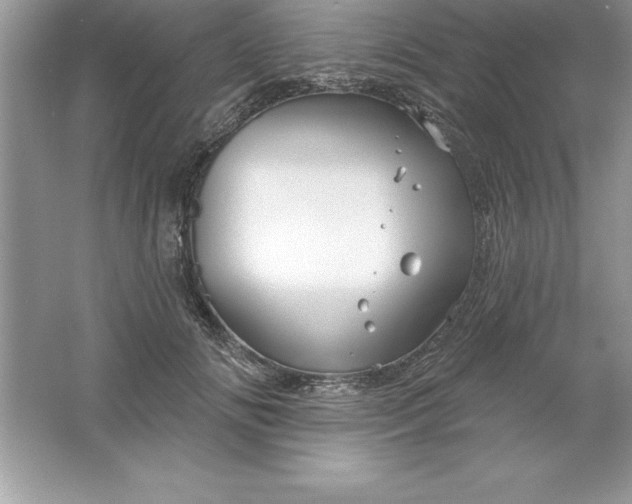 X0000061750702200512161717