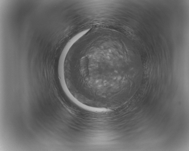 X0000061750703200512161717