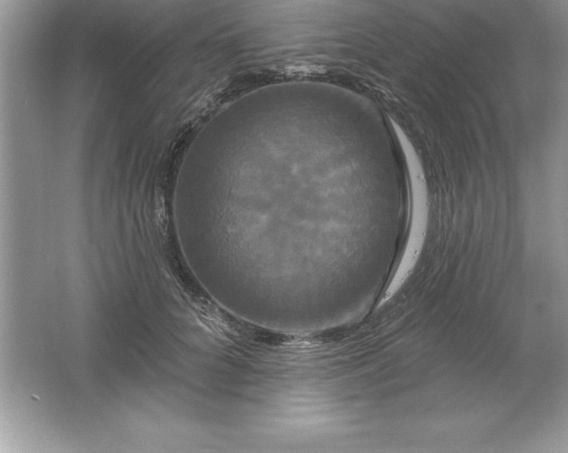 X0000061750704200512161717