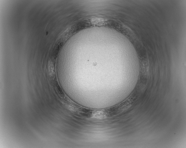 X0000061750705200512161717