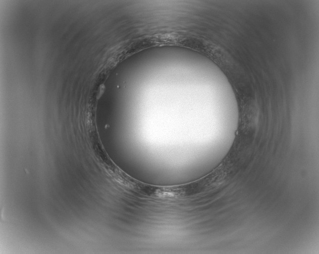 X0000061750706200512161717