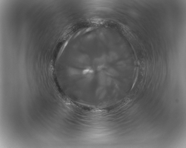 X0000061750707200512161717