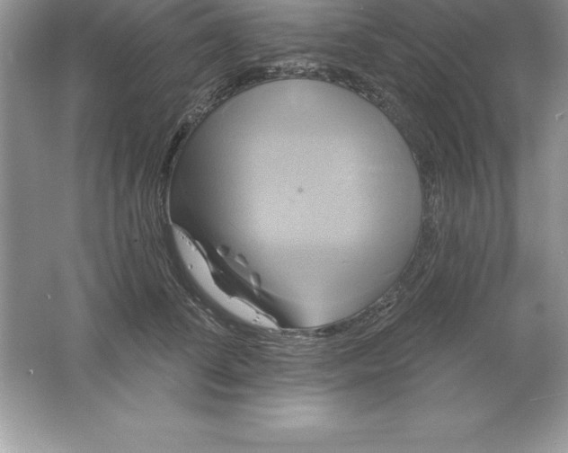 X0000061750708200512161717