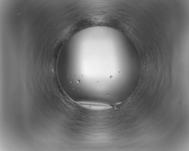 X0000061750710200512161717