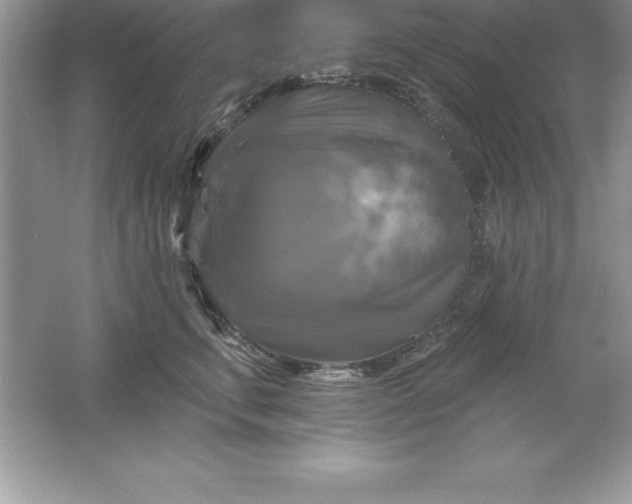 X0000061750711200512161717