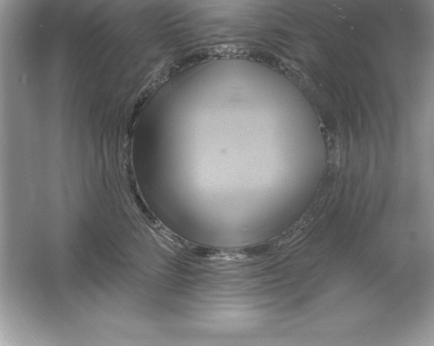 X0000061750712200512161717