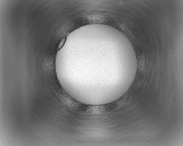 X0000061750713200512161717