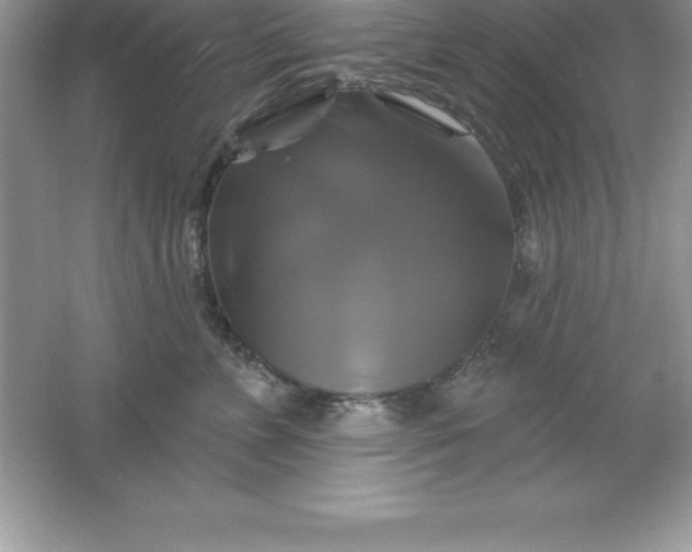 X0000061750715200512161717