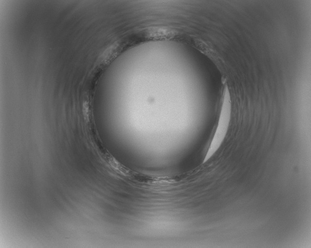 X0000061750716200512161717