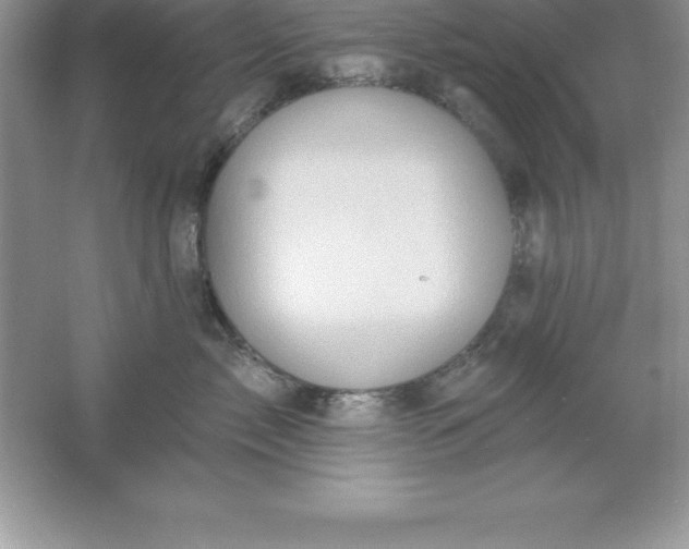 X0000061750717200512161717