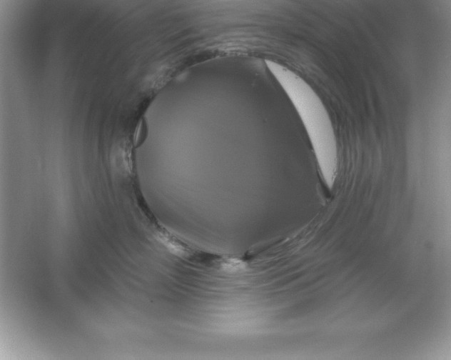 X0000061750718200512161717