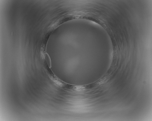 X0000061750719200512161717