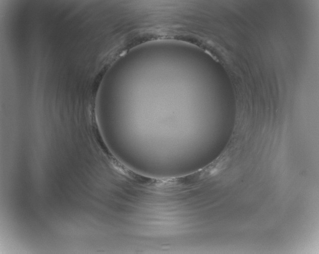 X0000061750720200512161717