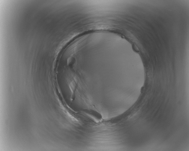 X0000061750721200512161716