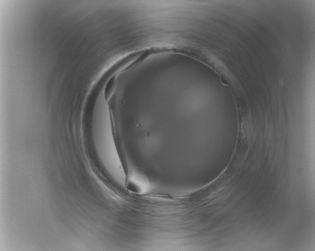 X0000061750722200512161716