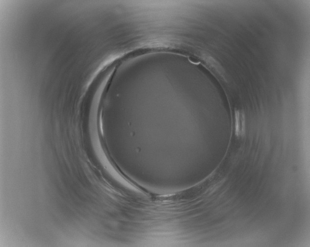 X0000061750723200512161716