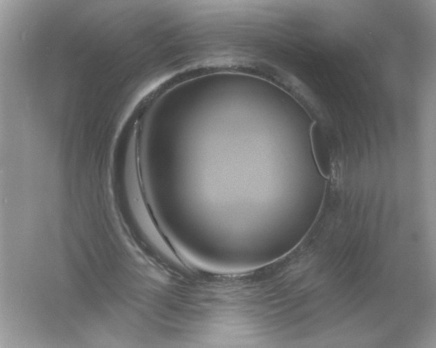 X0000061750724200512161716