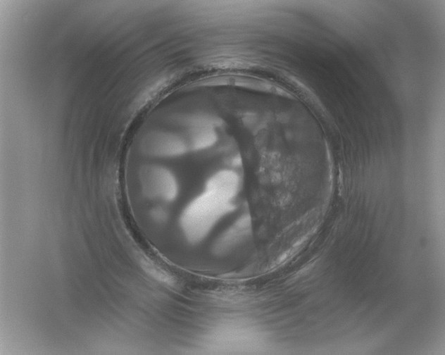 X0000061750725200512161716