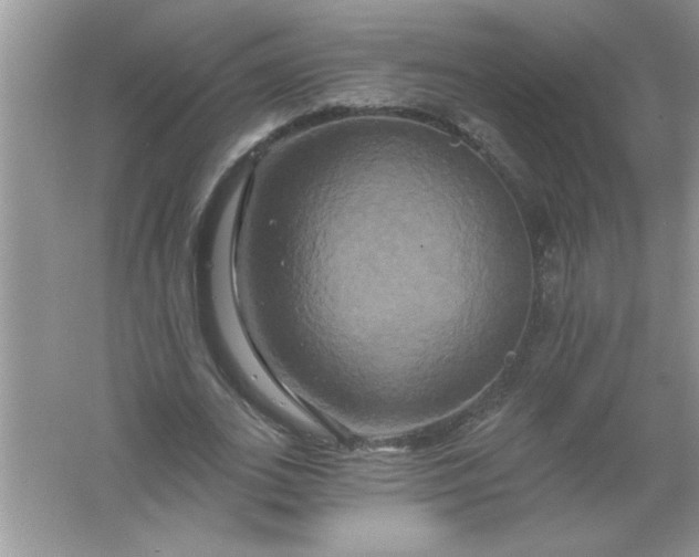 X0000061750727200512161716