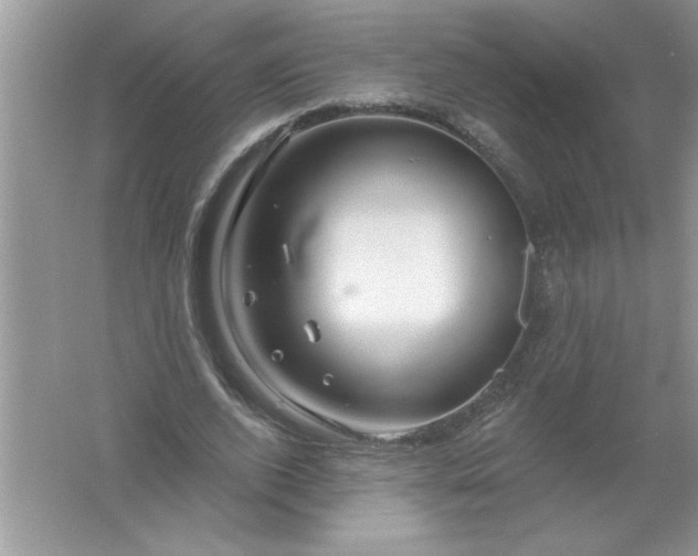 X0000061750728200512161716