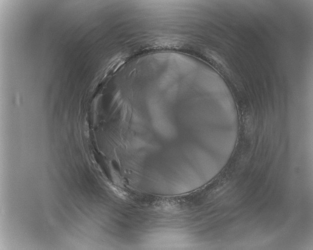 X0000061750729200512161716