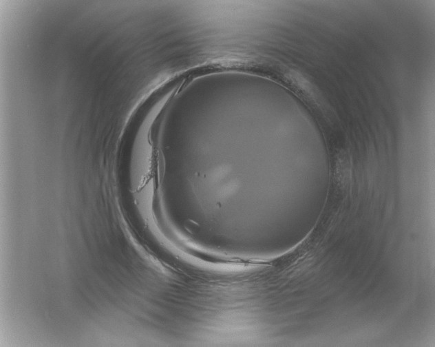 X0000061750730200512161716