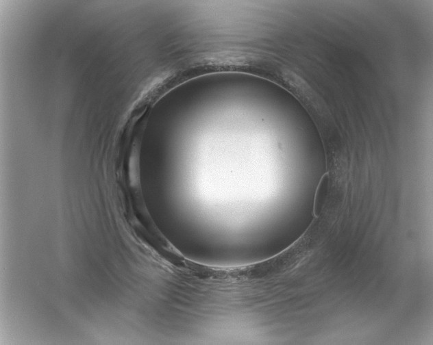 X0000061750731200512161716