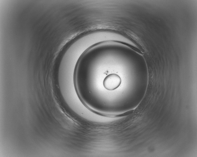 X0000061750732200512161716