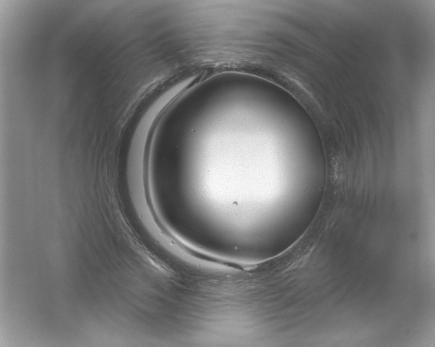 X0000061750733200512161716