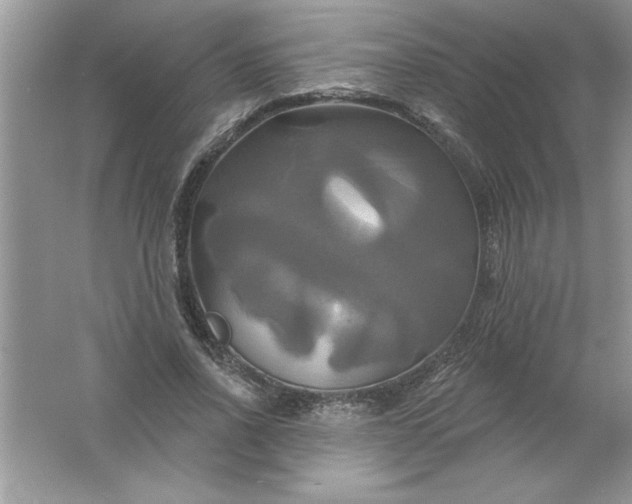 X0000061750734200512161716