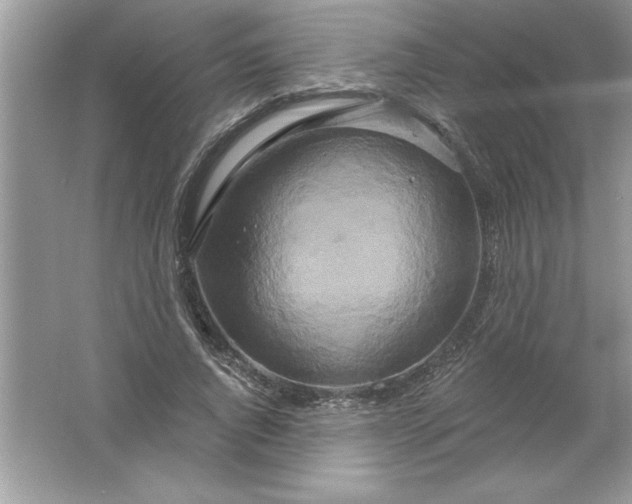 X0000061750736200512161716