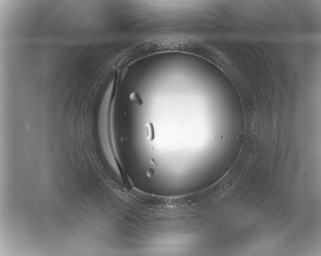 X0000061750737200512161716